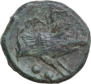 Reverse image