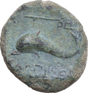 Reverse image